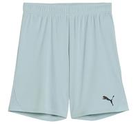 PUMA TeamGOAL Pantaloncini Jr
