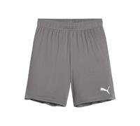 PUMA teamGOAL Shorts Jr - Pantaloncini in Maglia Adulti Unisex, Cast Iron-PUMA White, 705753