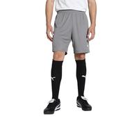 PUMA teamGOAL Shorts - Pantaloncini in Maglia Adulti Unisex, Cast Iron-PUMA White, 705752