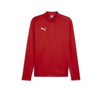Puma teamGOAL Training 1/4 Zip Top