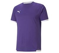 Puma teamLIGA Jersey