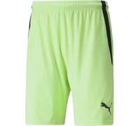 Puma Teamliga - Pantaloncini da allenamento da uomo, 20 cm, Fizzy Lime/PUMA Black, M