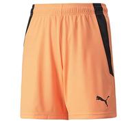 PUMA teamLIGA Pantaloncini Jr