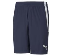 Puma Teamliga, Pantaloncini Sportivi, Unisex