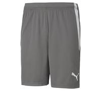 Puma teamLIGA Shorts, Costume a Boxer Men's, Smoked Pearl, M