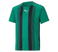 Puma Teamliga Striped Jersey Jr Shirt Unisex - Bambini e Ragazzi (Pacco da 1)