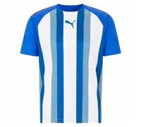 PUMA teamLIGA Striped Jersey Uomo Maglia 704920-21 blu S