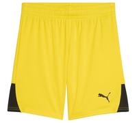 PUMA TeamLIGA26 - Pantaloncini Jr