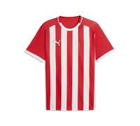 Puma Teamliga26 Striped Jersey Maglie Uomo (Pacco da 1)