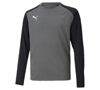 PUMA teamPACER GK LS JERS Maglietta a Maniche Lunghe, Grigio Perla (Smoked Pearl), 14 Anni Uomo