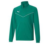 Puma teamRISE 1/4 Zip Top Jr Knitted Sweater Unisex Kids, Pepper Green-Puma White 152