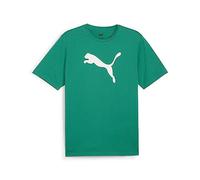 PUMA Teamrise Logo Uomo Jersey Cotone Tees
