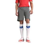 Pantaloncini Puma Team Rise Gris XL