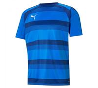 Puma teamVISION Jersey Jr