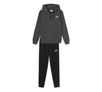PUMA Tuta da Uomo con Cappuccio Essentials Tr Grigia Codice 693270-44