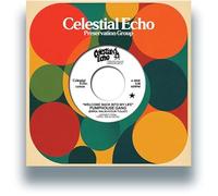 Pumphouse Gang - Welcome Back Into My Life (w/ Medlar Edit)