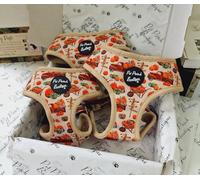 Pumpkin Patch Pettorina Cane L