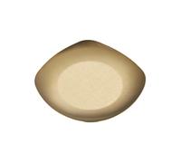 pumpumlia Piatto per antipasti in acciaio inossidabile 304 per uso alimentare Ciotola multiuso per condimenti in metallo antiruggine per cucina Uso commerciale Lavabile in lavastoviglie Antipasti