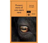 Punacci, storia di una capra nera