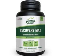 PUNCH POWER Recovery Max Poudre 280g - Saveur Fruitee - Unisex - Multicolore - Taglia unica- modello 2026
