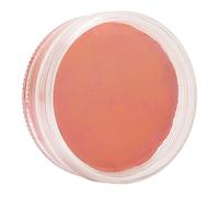 PUNELE Tavolozza di Vernice per il Viso, Kit di Pittura per il Corpo Inodore a Base D'Acqua per Halloween, Natale, Cosplay, con Acqua Sapiente o Rimozione del Trucco, per Feste, Stadio
