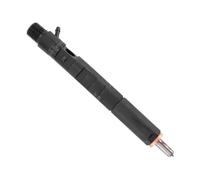 PUNICS Polverizzatori iniettori Compatibile con Dacia per Logan per Sandero 1.5DCI K9K Ugello Iniettore Carburante Diesel Ricambi Auto EJBR05101D EJBR05102D 28232251 8200815416(EJBR03101D No Code)