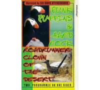 Punk Puffins And Hard Rock/Roadrunner - Clown Of The Desert [VHS]