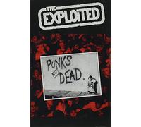 Punks Not Dead (cassette)