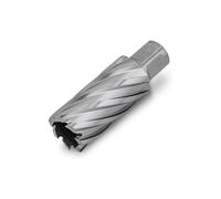 Punta a corona HSS SPECIAL 50 con attacco Weldon da 3/4 in, Ø foro 20 mm, Profon Quantità:1