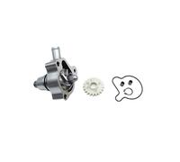 Punta di copertura della pompa dell'acqua universale Mandrino compatibile con CBS300 NB300 ZS174MN Sostituzione della bici del motore raffreddato ad acqua(Kit albero della pompa dell'acqua)