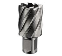 Punta for trapano a tazza con fresa anulare HSS-E for gambo magnetico universale/Weldon/Fein a innesto rapido da 12-60 mm x 25(Weldon Shank,56x25)