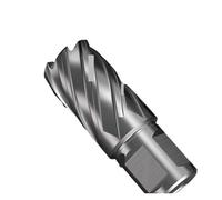 Punta Rotabroach, Dimensioni multiple in acciaio rapido for taglierine anulari for carotiere for la perforazione dei metalli(33x55mm)
