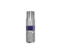 Puntali Torx T-40 (2 pezzi)