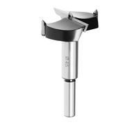 Punte Forstner Bit, 45mm, 10mm x 30mm gambo