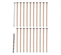 Punte in rame per eliminare ceppi di alberi, 10,2 cm, hardware per la rimozione delle radici e sistema di eliminazione dei ceppi, chiodi in rame resistenti per distruggere le radici degli alberi e (25