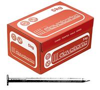 PUNTE P 10X30 "CAVATORTA" KG 5