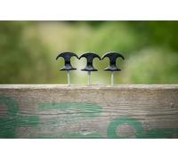 Punte Piattaforma Nash Titan / Pesca Carpa