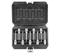 Punte Torx su una presa da 100 mm, set di 9 pezzi.