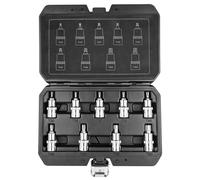 Punte Torx su una presa da 55 mm, set di 9 pezzi.