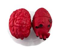 Puntello realistico a forma di cuore - Cuore finto e cervello | Puntelli di sangue di Halloween | Ornamento raccapricciante a forma di cuore insanguinato | Modello di cuore finto realistico | Cuore