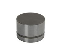 Bicchiere punteria valvole idraulico 420 0042 10 INA per MERCEDES-BENZ SSANGYONG