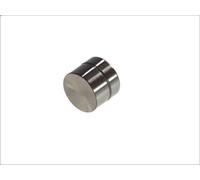 Punteria INA 420 0050 10 per ROVER 800 (XS) 2 1992-1999