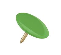 Puntine - 500 pezzi in 10 confezioni da 50 - Puntine colorate Verde