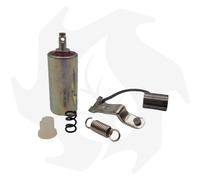 PUNTINE PLATINATE + CONDENSATORE PER MOTORE BRIGGS & STRATTON COD BG00098 3-186