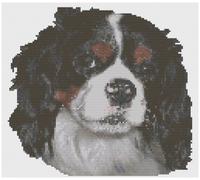 Punto Croce Motivo Da Florashell - Cavaliere Re Carlo Spaniel Cane