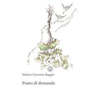 Punto di domanda