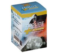 PUNTO SALUTE ZEOLITE CLINOPTILOLITE ATTIVATA 100 GR