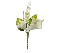 PuntoCasaStore 12 PZ MAZZETTO 2 Calla E SPIGA