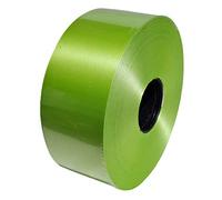 PuntoCasaStore Nastro Feste 50 MM X 100 MT VERDE MELA