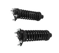 Puntone anteriore con gruppo molla elicoidale compatibile con Liberty 2002 2003 2004 2005 2006 2007 2008 2009 2010 2011 2012 2.4L 2.8L 3.7L